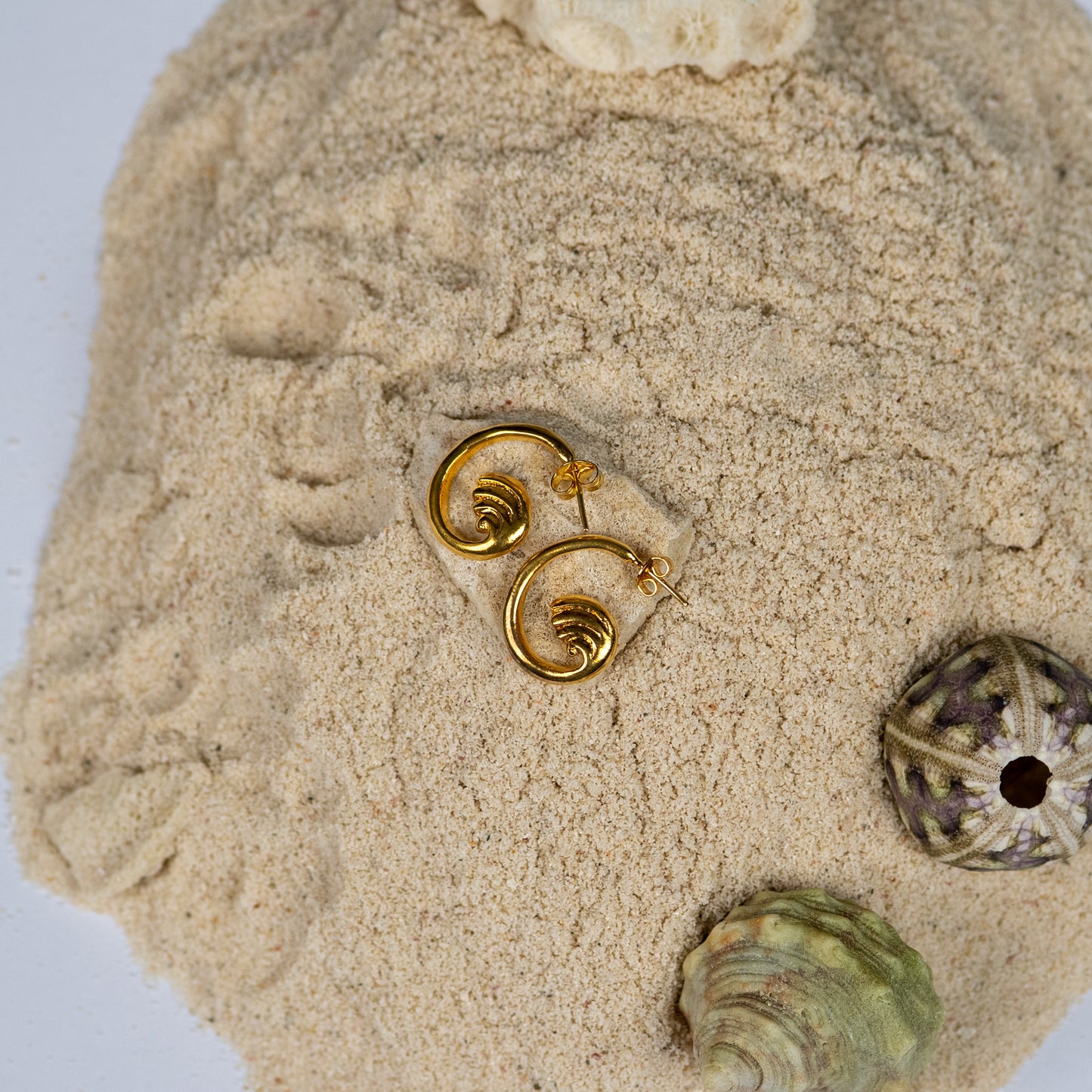 Vichi Earrings
