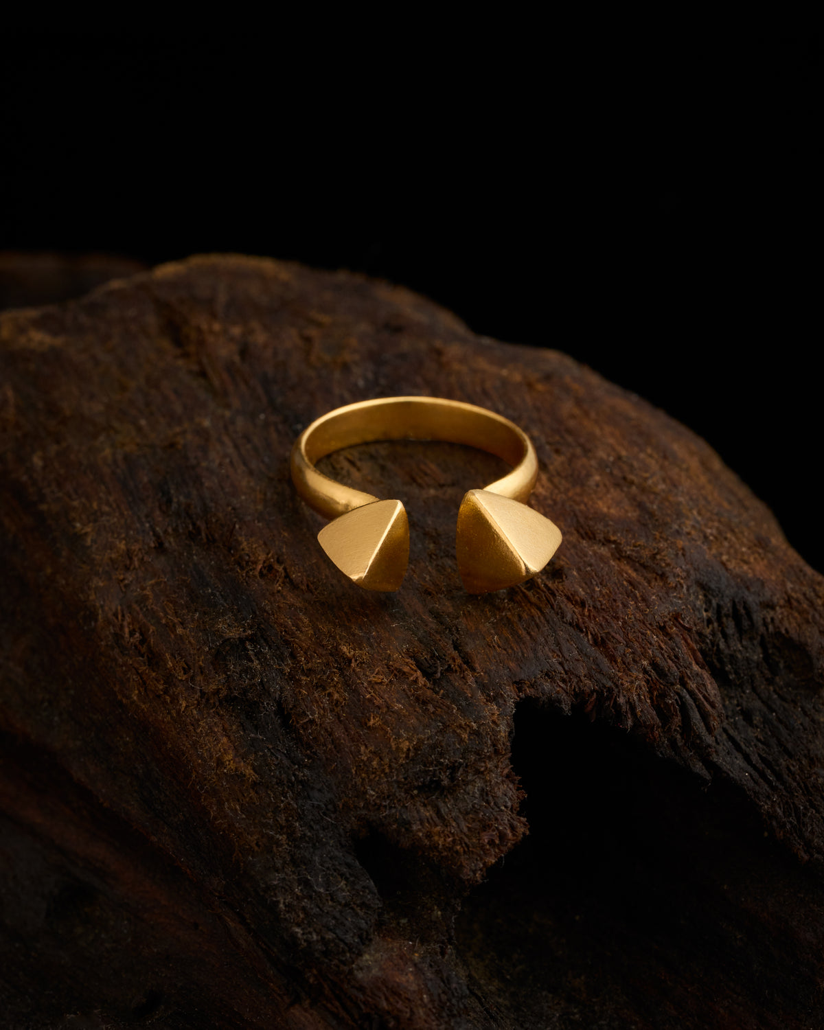 Twin Temple Ring