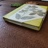 Flora Cluster Journal