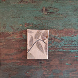 Pocket Journals
