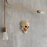 Skull Wall Mask