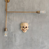 Skull Wall Mask