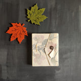 Pastel Potentillas Journal