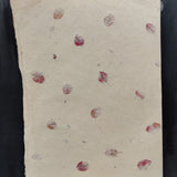 Floral Embossed Kagaz